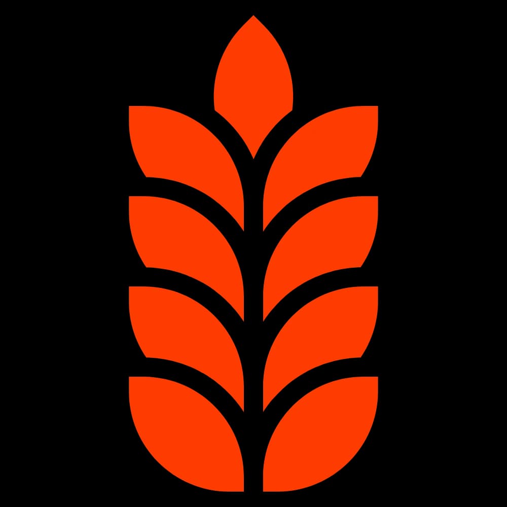 GrainODM