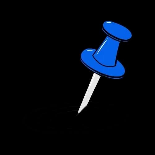 Needle
