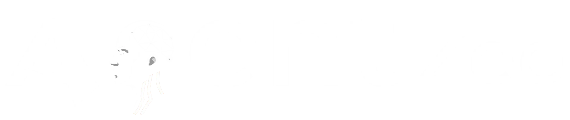 AgentZee